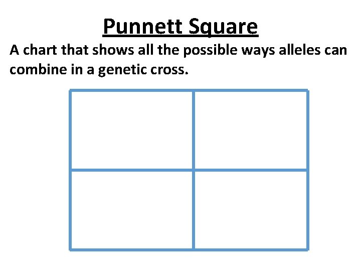 Punnett Square A chart that shows all the possible ways alleles can combine in