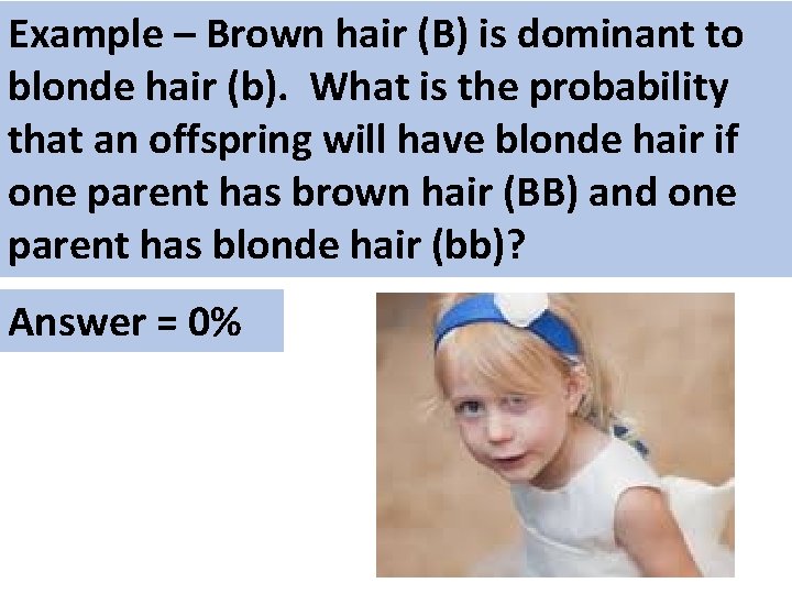 Example – Brown hair (B) is dominant to blonde hair (b). What is the