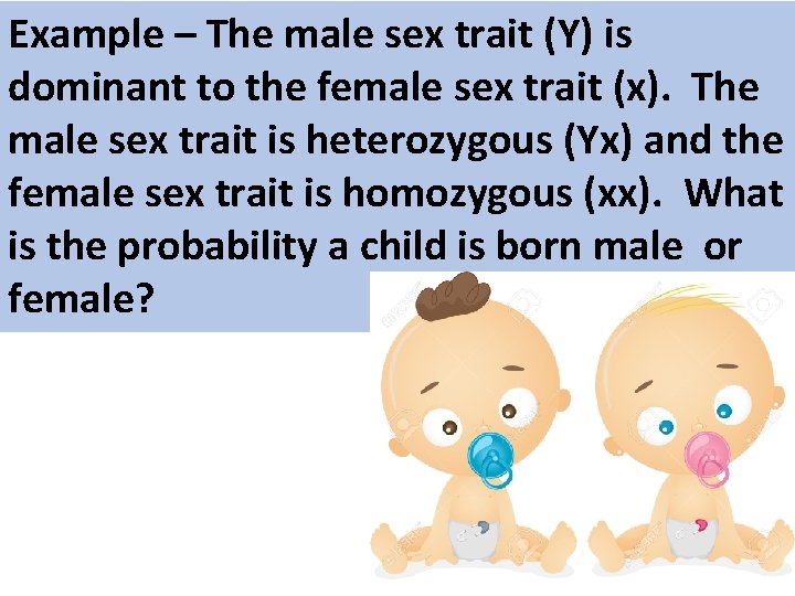 Example – The male sex trait (Y) is dominant to the female sex trait