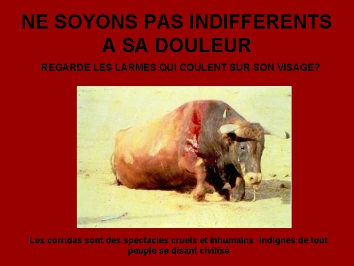 NE SOYONS PAS INDIFFERENTS A SA DOULEUR REGARDE LES LARMES QUI COULENT SUR SON