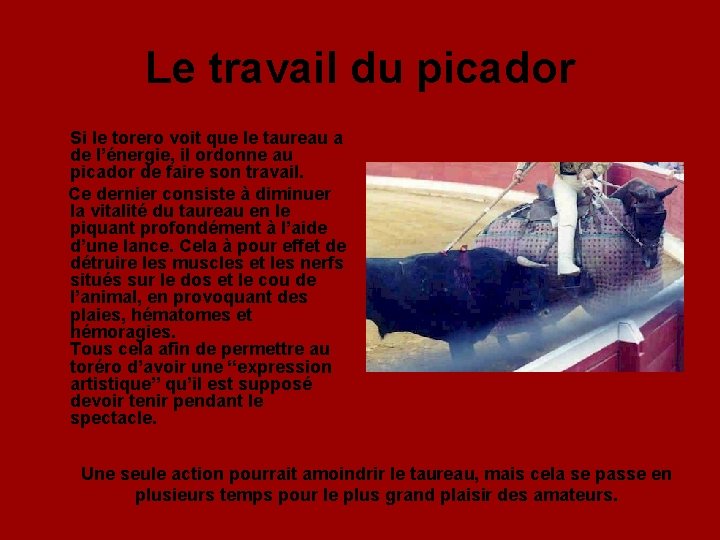 Le travail du picador Si le torero voit que le taureau a de l’énergie,