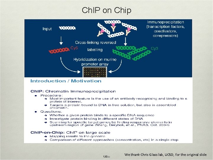 Ch. IP on Chip We thank Chris Glass lab, UCSD, for the original slide
