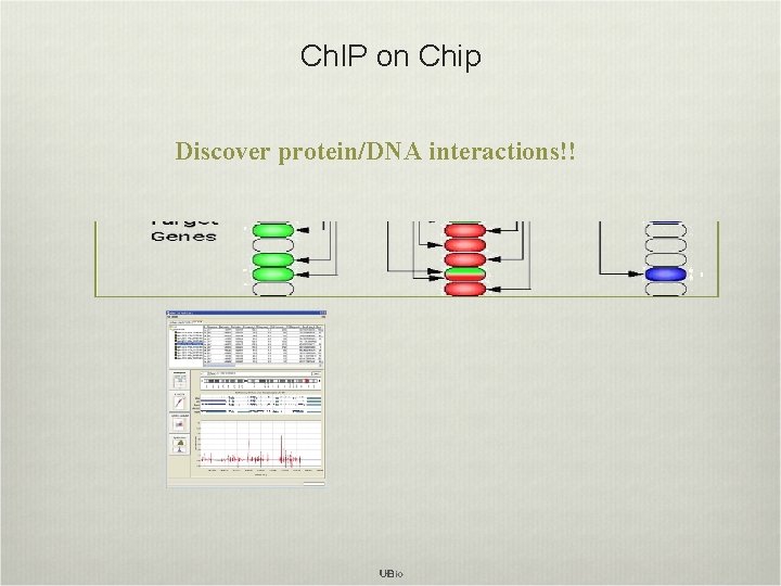 Ch. IP on Chip Discover protein/DNA interactions!! 