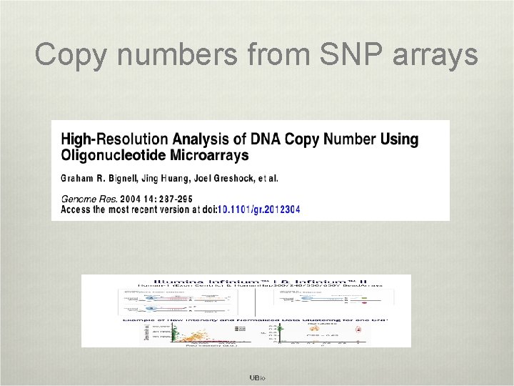 Copy numbers from SNP arrays 