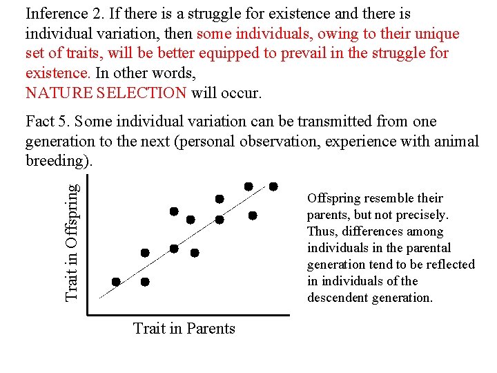 Inference 2. If there is a struggle for existence and there is individual variation,