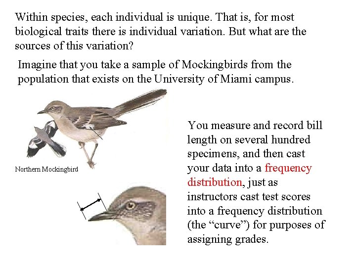 Within species, each individual is unique. That is, for most biological traits there is