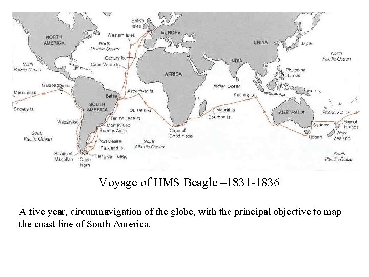 . Voyage of HMS Beagle – 1831 -1836 A five year, circumnavigation of the