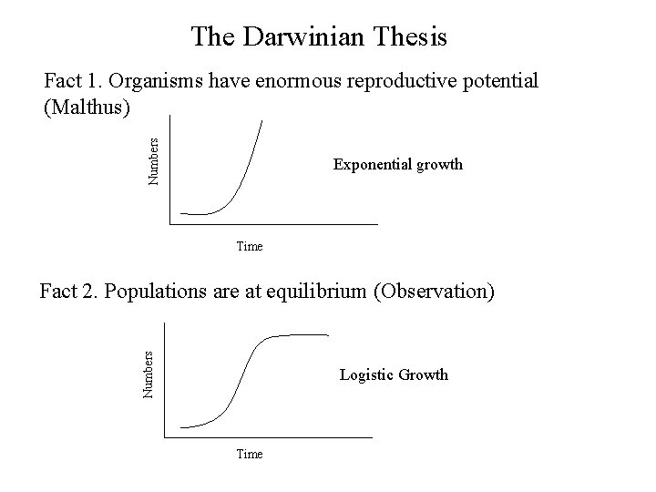 The Darwinian Thesis Numbers Fact 1. Organisms have enormous reproductive potential (Malthus) Exponential growth