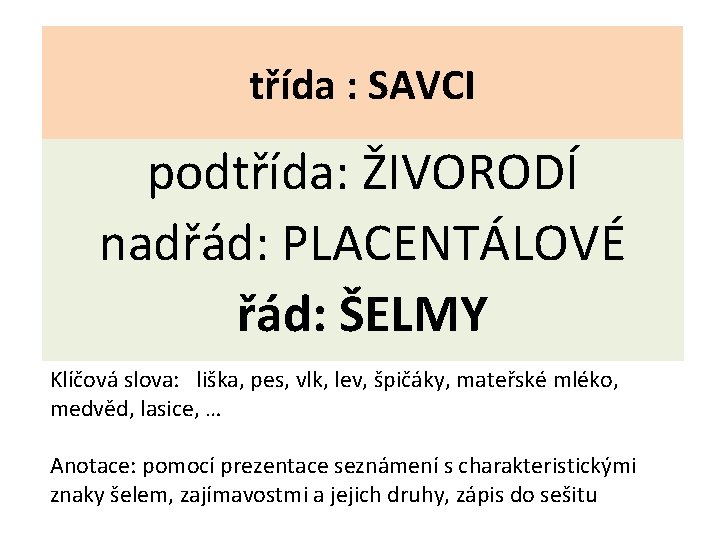 třída : SAVCI podtřída: ŽIVORODÍ nadřád: PLACENTÁLOVÉ řád: ŠELMY Klíčová slova: liška, pes, vlk,