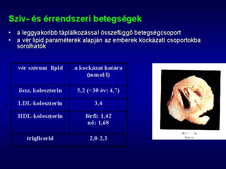 Szív- és érrendszeri betegségek • a leggyakoribb táplálkozással összefüggő betegségcsoport • a vér lipid