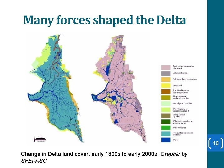 Many forces shaped the Delta 10 Change in Delta land cover, early 1800 s