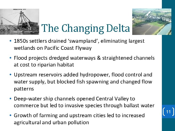 The Changing Delta • 1850 s settlers drained ‘swampland’, eliminating largest wetlands on Pacific