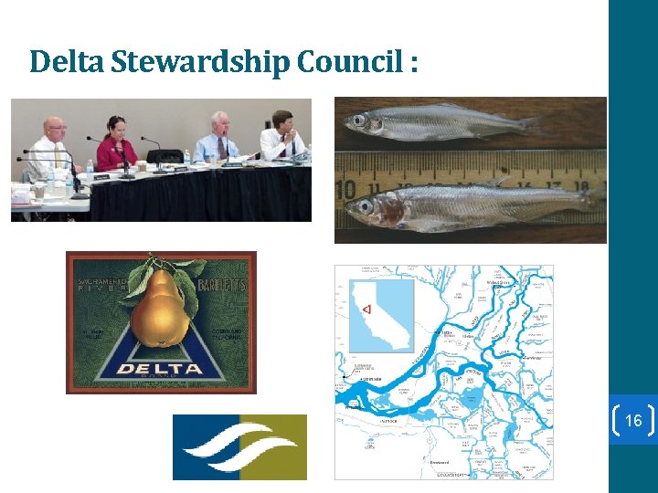 Delta Stewardship Council : 16 