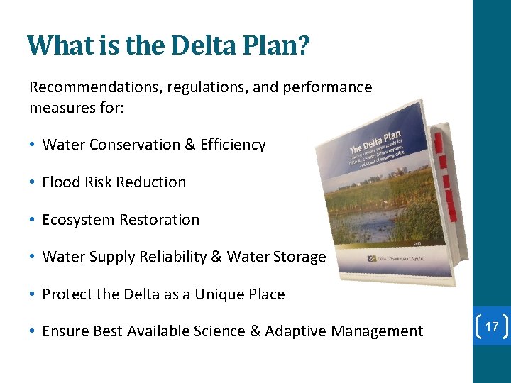 What is the Delta Plan? Recommendations, regulations, and performance measures for: • Water Conservation