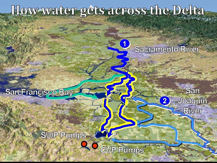 How water gets across the Delta 1 Sacramento River San Francisco Bay 2 SWP