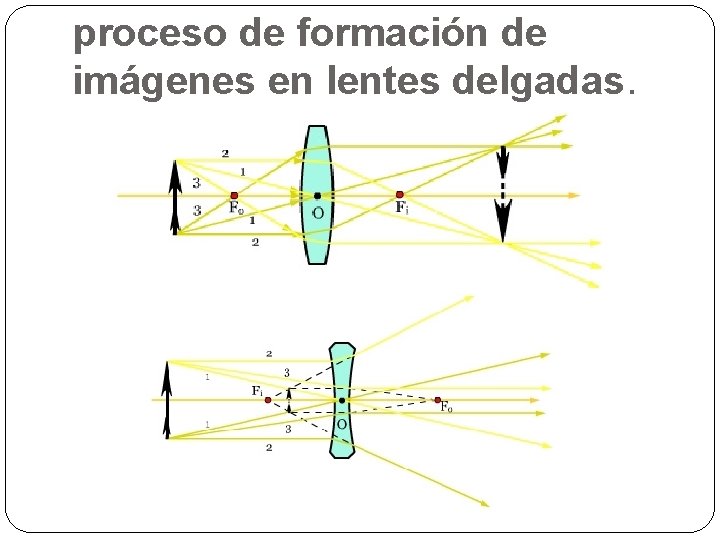 proceso de formación de imágenes en lentes delgadas. 