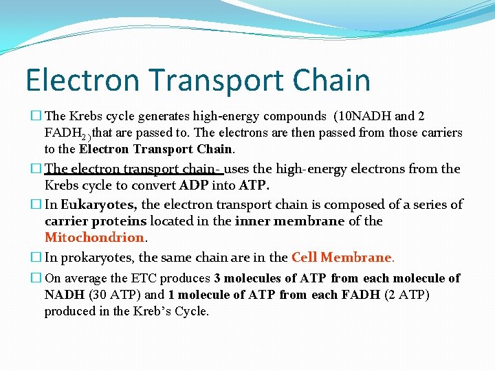 Electron Transport Chain � The Krebs cycle generates high-energy compounds (10 NADH and 2