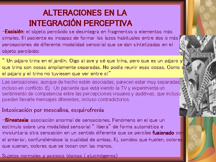 ALTERACIONES EN LA INTEGRACIÓN PERCEPTIVA -Escisión: el objeto percibido se desintegra en fragmentos o