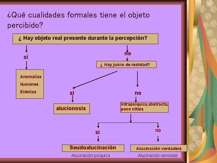 ¿Qué cualidades formales tiene el objeto percibido? ¿ Hay objeto real presente durante la