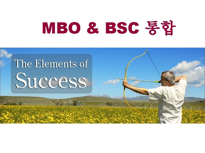 MBO & BSC 통합 