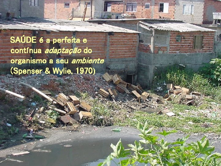 SAÚDE é a perfeita e contínua adaptação do organismo a seu ambiente (Spenser &