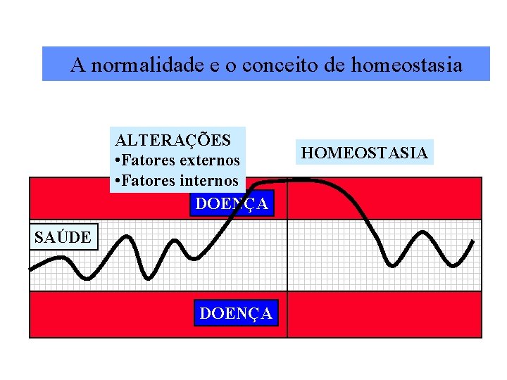 A normalidade e o conceito de homeostasia ALTERAÇÕES • Fatores externos • Fatores internos