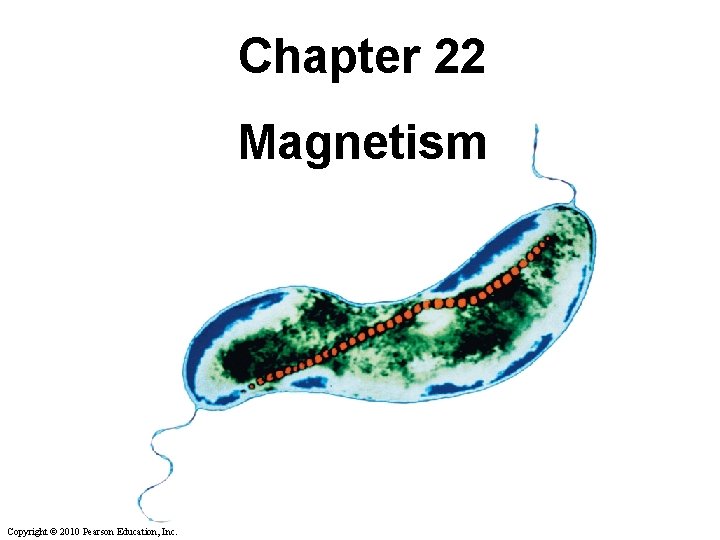 Chapter 22 Magnetism Copyright © 2010 Pearson Education, Inc. Chapter 22 Magnetism Copyright © 2010 Pearson Education, Inc.
