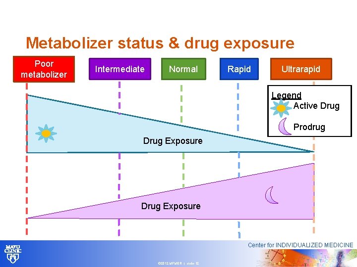 Metabolizer status & drug exposure Poor metabolizer Intermediate Normal Rapid Ultrarapid Legend Active Drug