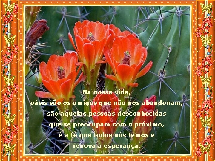 Na nossa vida, oásis são os amigos que não nos abandonam, são aquelas pessoas