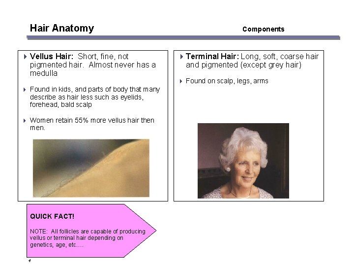 Hair Anatomy 4 Vellus Hair: Short, fine, not pigmented hair. Almost never has a