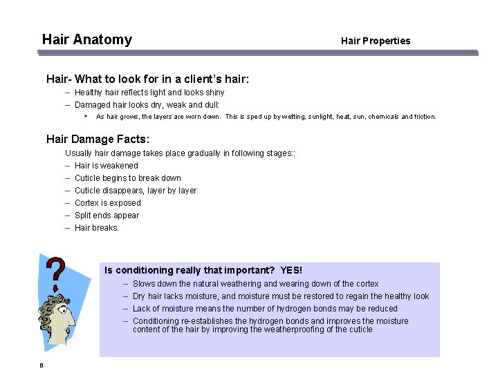 Hair Anatomy Hair Properties Hair- What to look for in a client’s hair: –