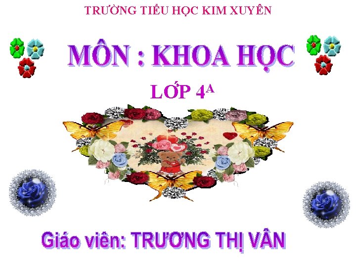 TRƯỜNG TIỂU HỌC KIM XUYÊN LƠ P 4 A 