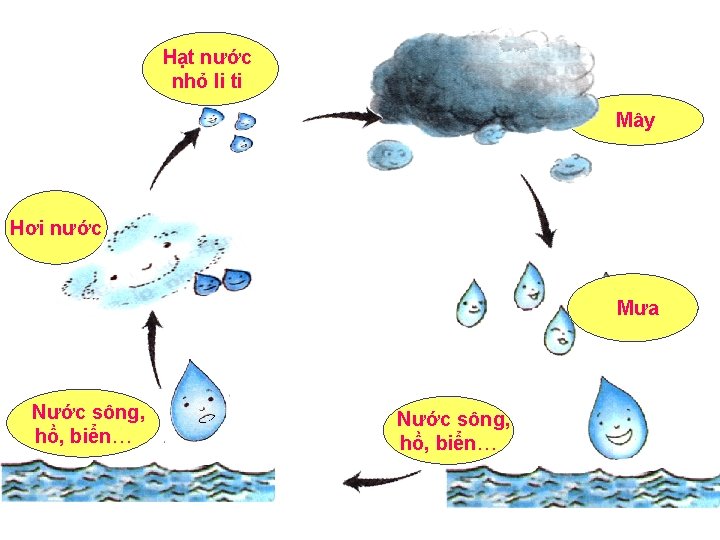 Hạt nước nhỏ li ti Mây Hơi nước Mưa Nước sông, hồ, biển… 