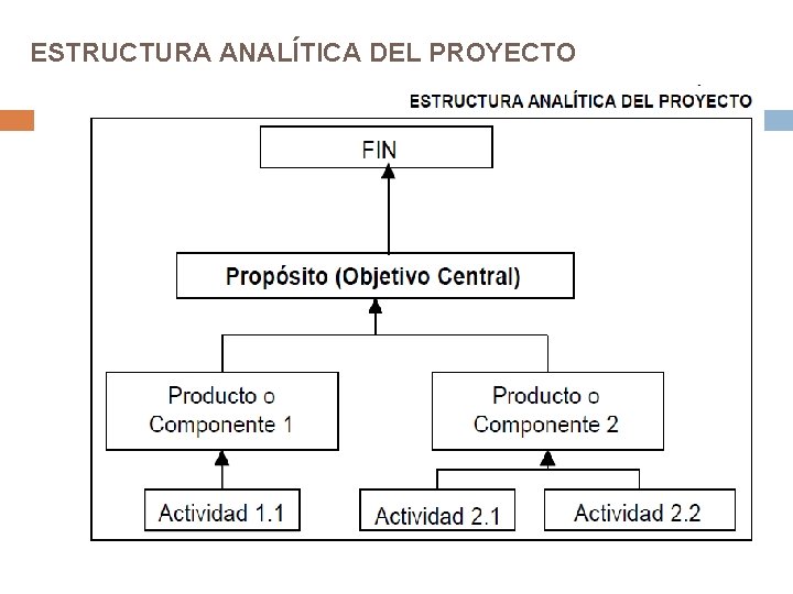 ESTRUCTURA ANALÍTICA DEL PROYECTO ESTRUCTURA ANALÍTICA DEL PROYECTO
