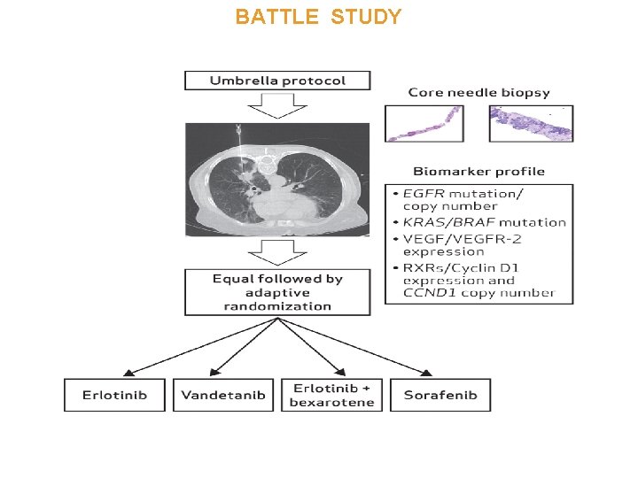 BATTLE STUDY Kim E S et al. Cancer Discovery 2011; 1: 44 -53 