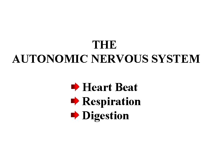 THE AUTONOMIC NERVOUS SYSTEM Heart Beat Respiration Digestion 