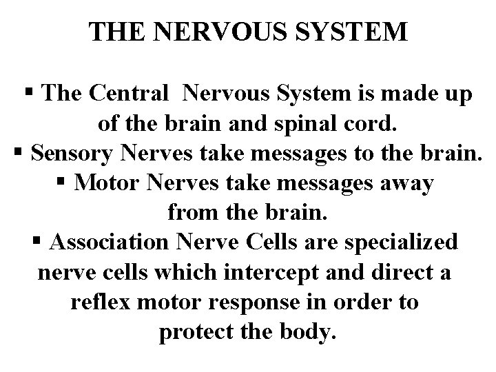 THE NERVOUS SYSTEM § The Central Nervous System is made up of the brain