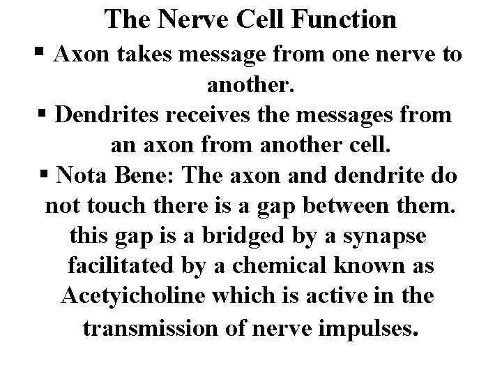 The Nerve Cell Function § Axon takes message from one nerve to another. §