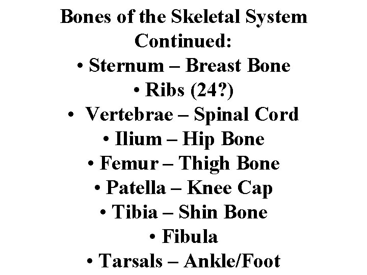 Bones of the Skeletal System Continued: • Sternum – Breast Bone • Ribs (24?