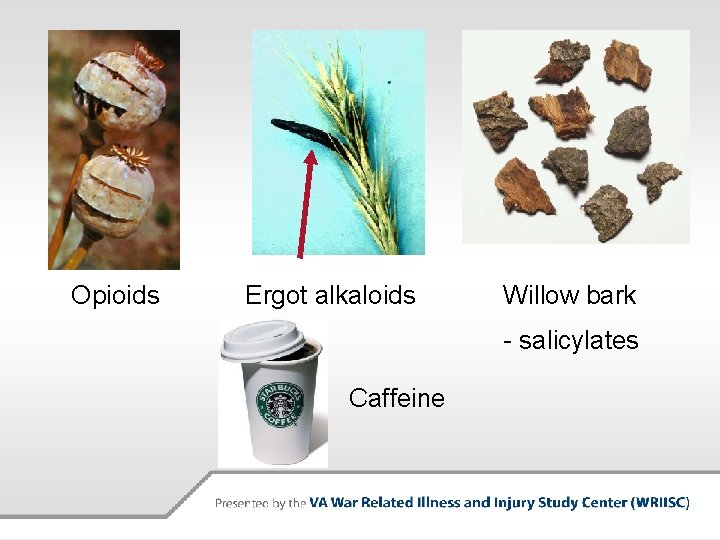 Opioids Ergot alkaloids Willow bark - salicylates Caffeine 