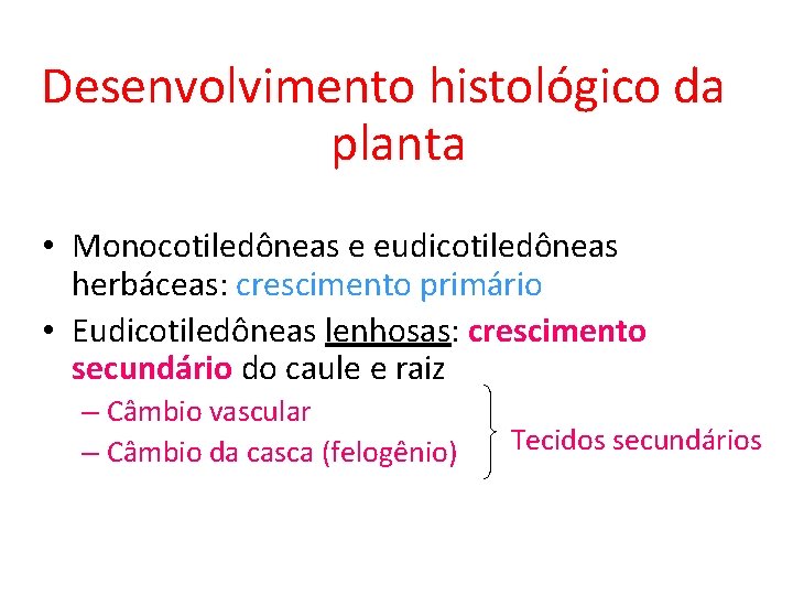 Desenvolvimento histológico da planta • Monocotiledôneas e eudicotiledôneas herbáceas: crescimento primário • Eudicotiledôneas lenhosas: