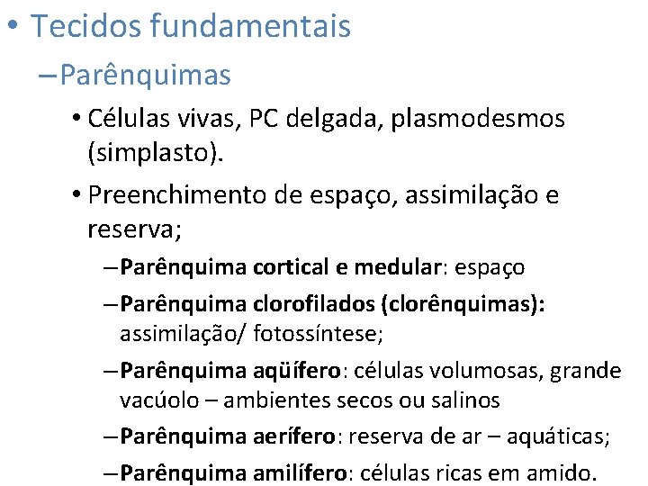  • Tecidos fundamentais – Parênquimas • Células vivas, PC delgada, plasmodesmos (simplasto). •