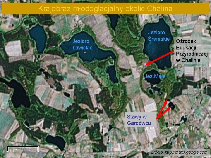 Krajobraz młodoglacjalny okolic Chalina Jezioro Ławickie Jezioro Śremskie Ośrodek Edukacji Przyrodniczej w Chalinie Jez.