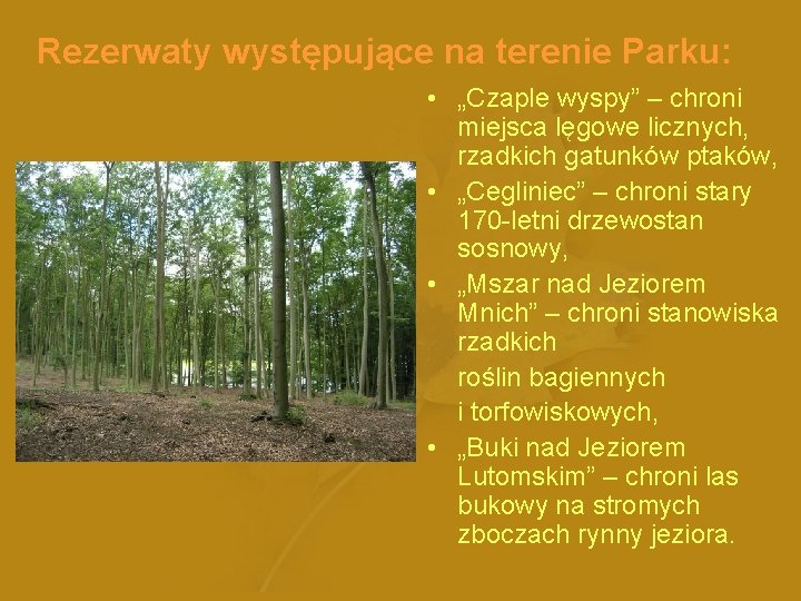 Rezerwaty występujące na terenie Parku: • „Czaple wyspy” – chroni miejsca lęgowe licznych, rzadkich