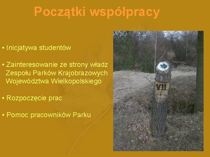 Początki współpracy • Inicjatywa studentów • Zainteresowanie ze strony władz Zespołu Parków Krajobrazowych Województwa