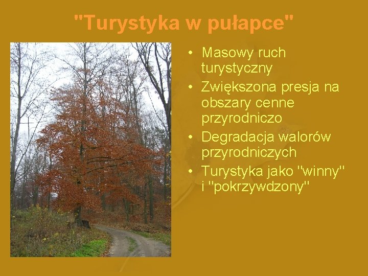 "Turystyka w pułapce" • Masowy ruch turystyczny • Zwiększona presja na obszary cenne przyrodniczo