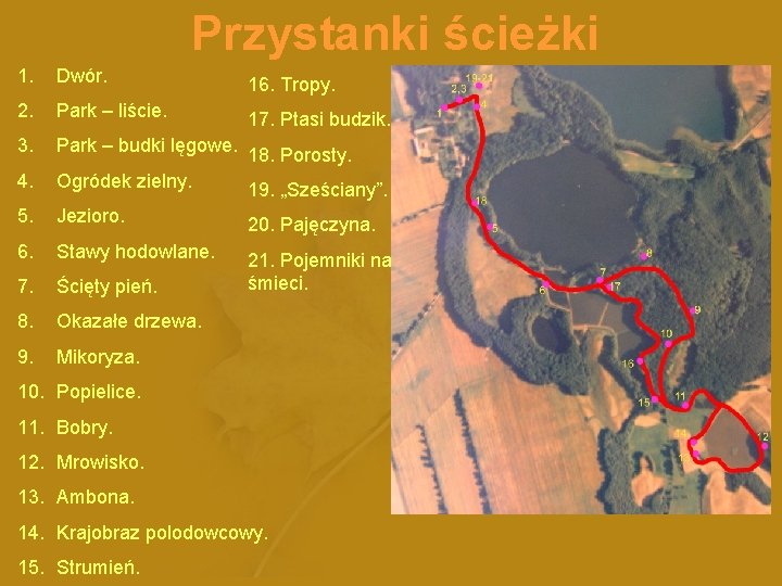 Przystanki ścieżki 1. Dwór. 16. Tropy. 2. Park – liście. 17. Ptasi budzik. 3.