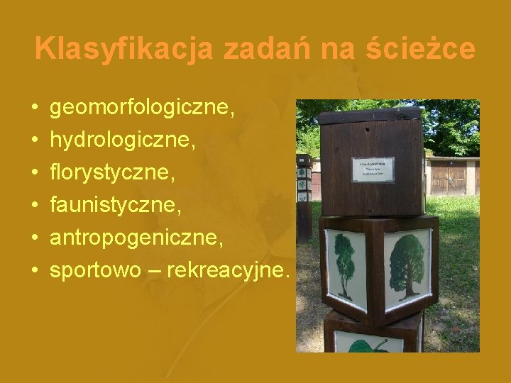 Klasyfikacja zadań na ścieżce • • • geomorfologiczne, hydrologiczne, florystyczne, faunistyczne, antropogeniczne, sportowo –