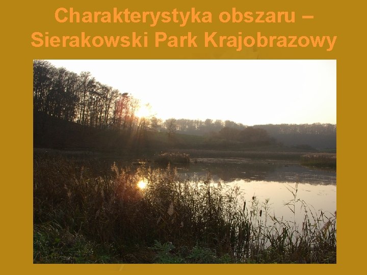 Charakterystyka obszaru – Sierakowski Park Krajobrazowy 