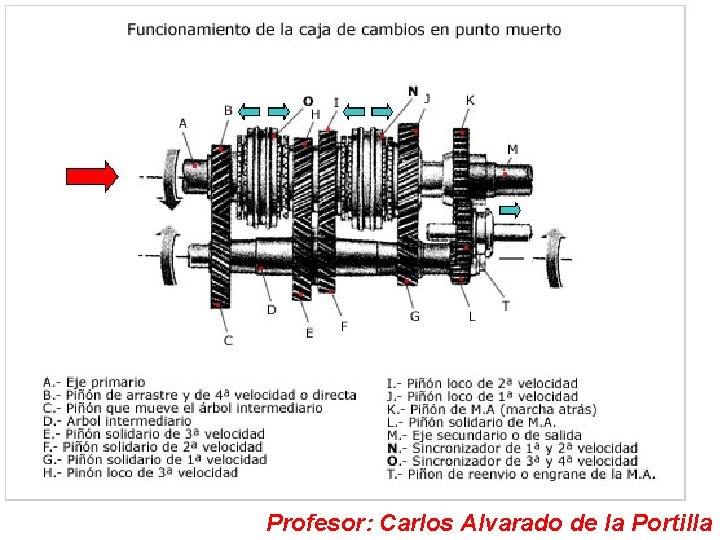 Profesor: Carlos Alvarado de la Portilla 